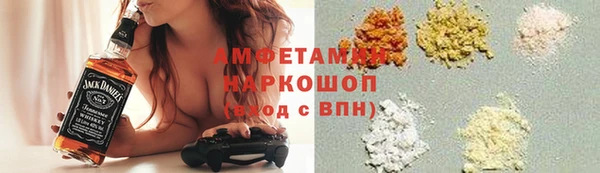 дживик Бородино