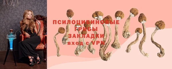 мет Бронницы