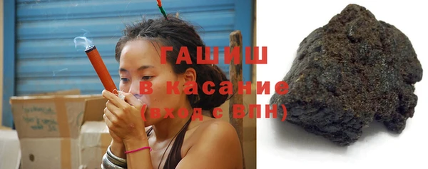 дживик Бородино