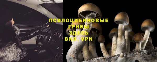 гидропоника Бугульма