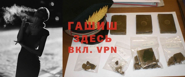 дживик Бородино