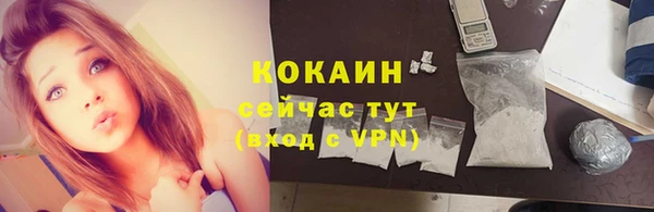 дживик Бородино