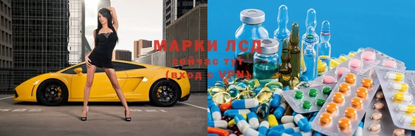 дживик Бородино