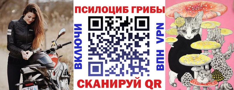 shop официальный сайт  наркота  Нолинск  Галлюциногенные грибы Psilocybine cubensis 